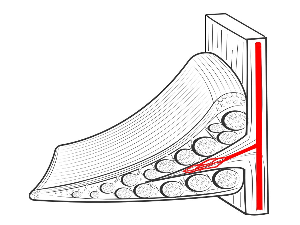 Illustration of a wedge of a meniscus, to show the blood supply coming in from the outer edge.