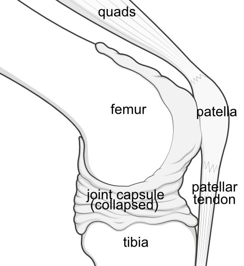 capsule-labelled_02