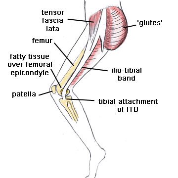 ITB