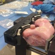 Photograph of an osteochondral allograft being performed on a cadaver knee in a workshop setting.