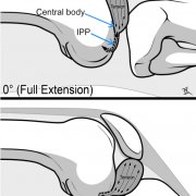 kinematics-labelled-smaller.png