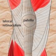 lateral retinaculum of the knee
