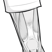 medial and lateral retinaculum