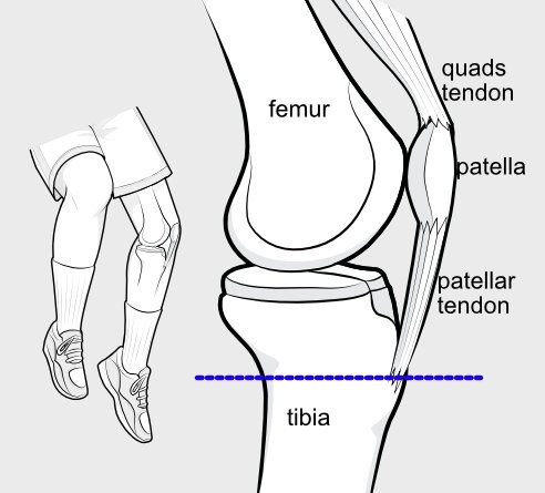 measuring_tt-tg_03.jpg