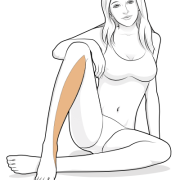skin sensation distribution of saphenous nerve